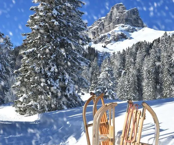 Attika Allod Park Haus C 807 By Interhome Davos